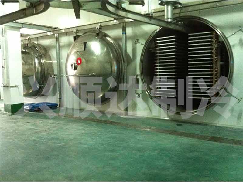 Freeze-dried white mushroom slices case study with 100㎡ freeze dryer