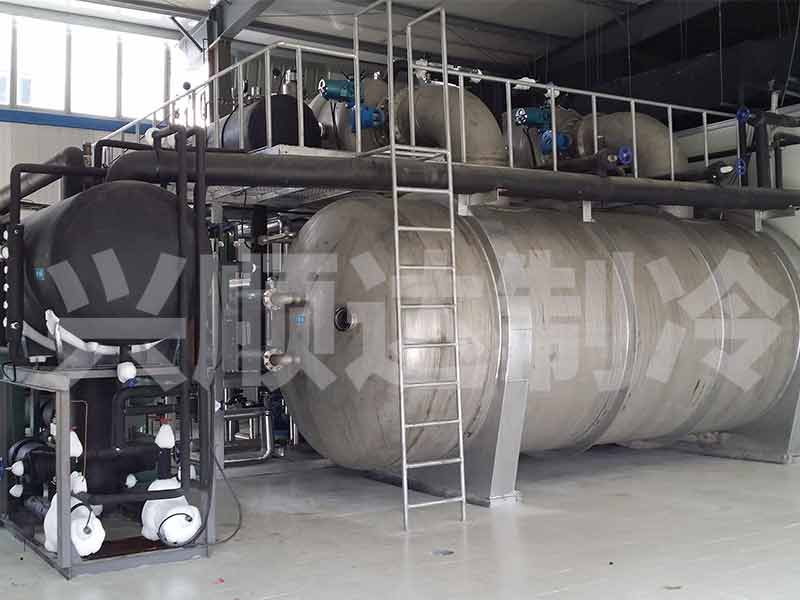 Czech Republic freeze-dried blueberries production project using SDG1100 freeze dryer