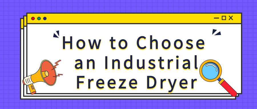 How to Choose an Industrial Freeze Dryer