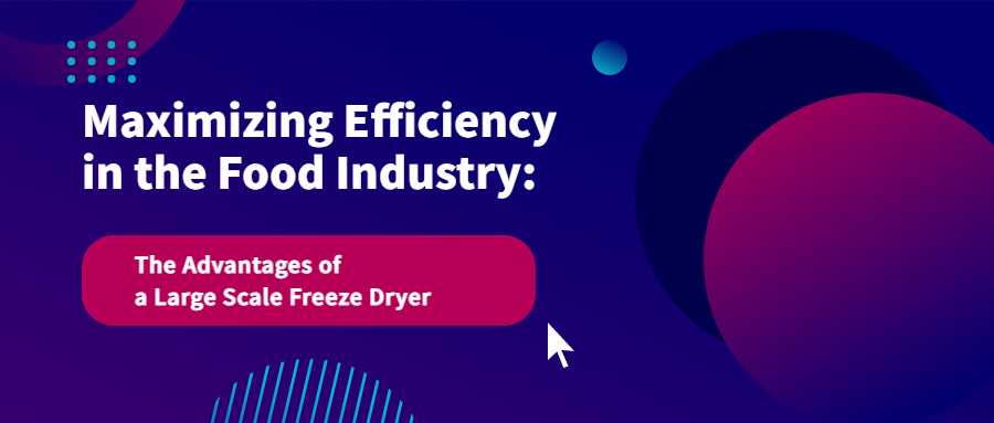 Maximizing Efficiency in the Food Industry: The Advantages of a Large Scale Freeze Dryer