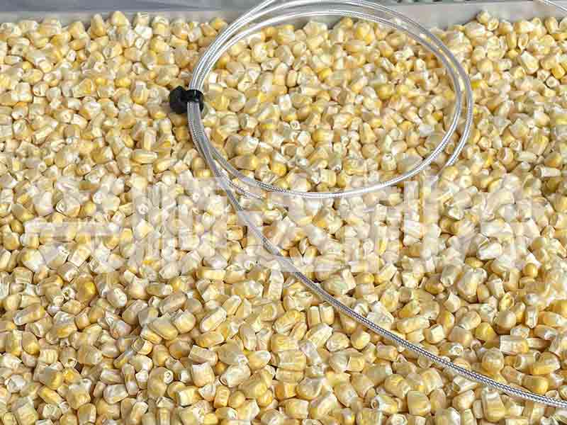 Freeze dried corn kernels