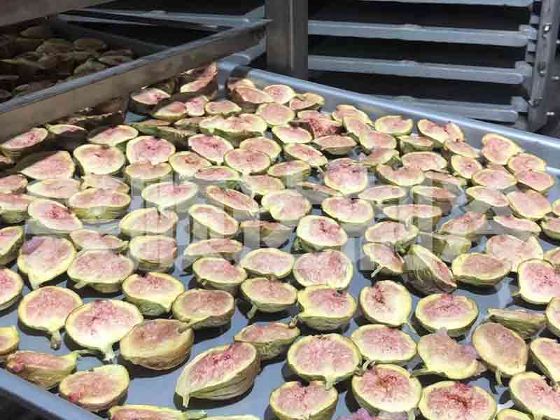 Freeze dried fig slices