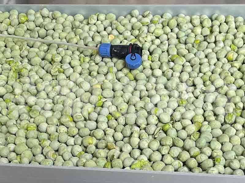 Freeze dried green peas