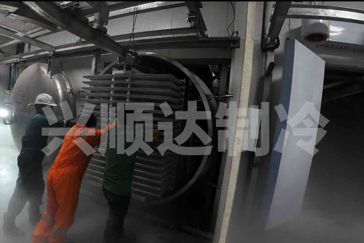 Freeze dryer chamber tray loading system